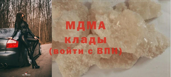 гидра Каменка