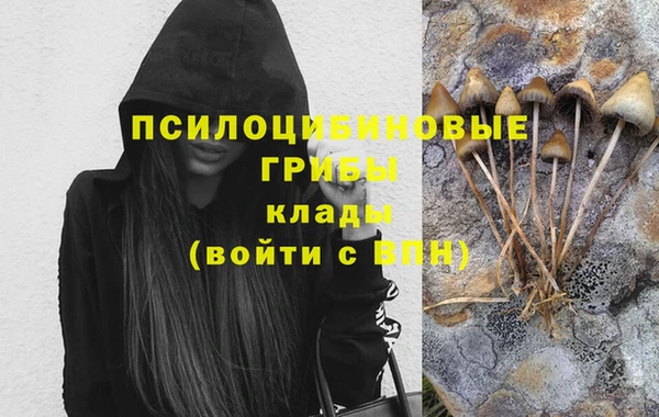 первитин Карпинск